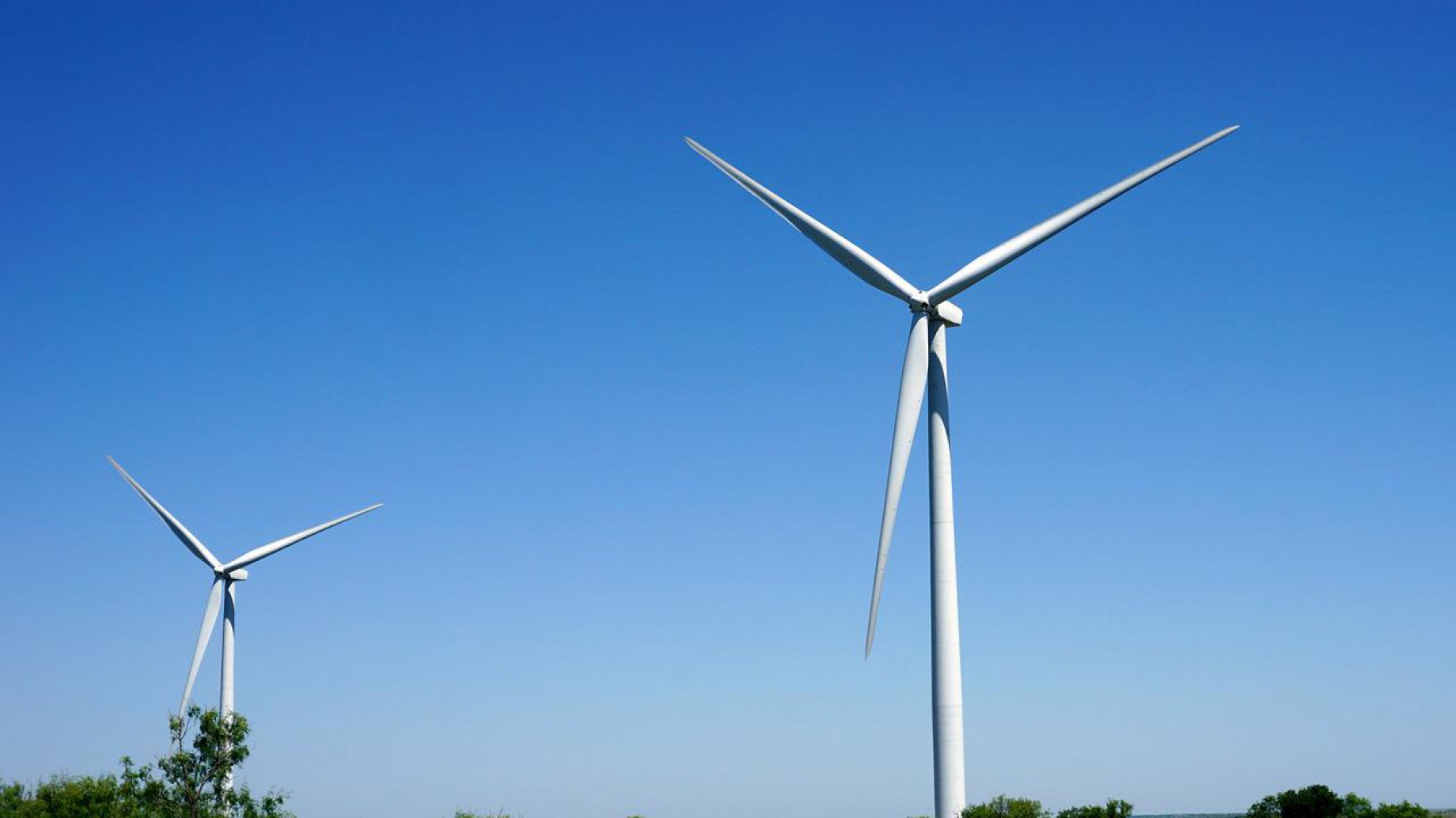 California y Texas tienen modelos socio-económicos antagónicos, pero comparten su pasión por las energías renovables